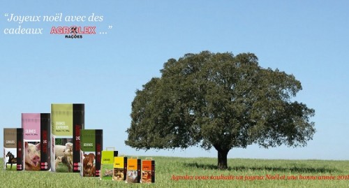 Joyeux No&euml;l et bonnes f&ecirc;tes