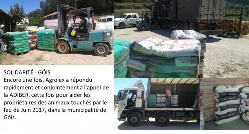 SOLIDARIT&Eacute; - G&Oacute;IS