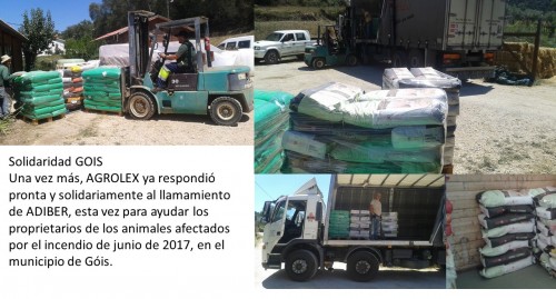 solidaridad Agrolex